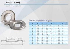 Paslanmaz Baskılı Flanş DN 250 ( PN 10 ) 304 kalite